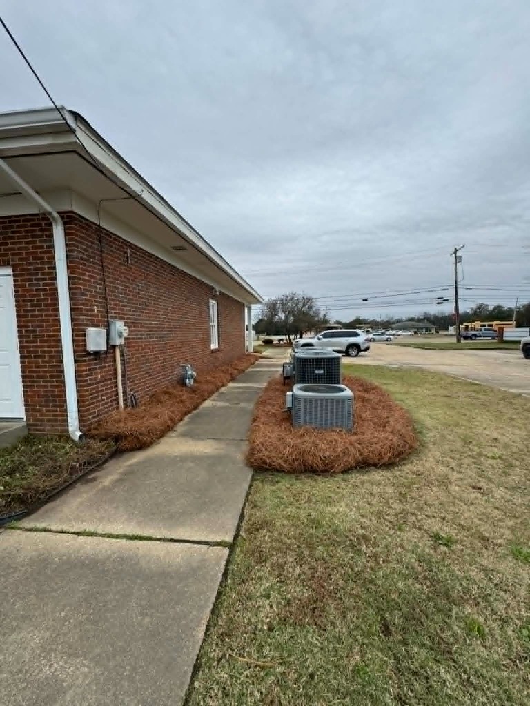 Commercial Building Landscape