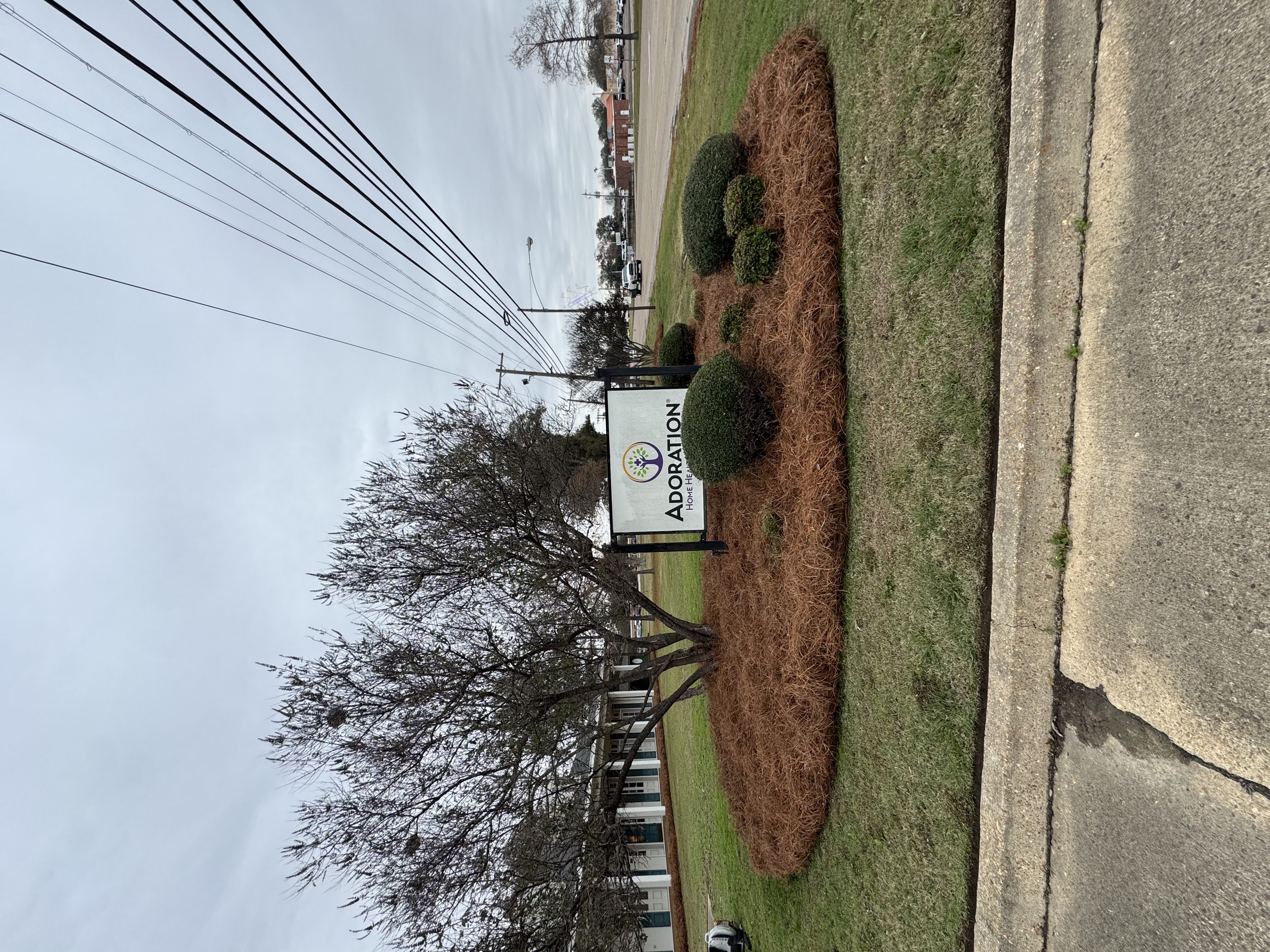 Commercial Landscaping